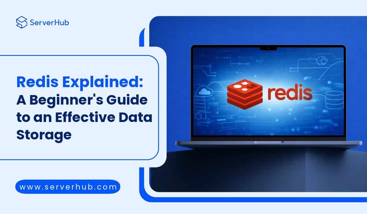 Redis: Beginner's Guide to an Effective Data Storage System